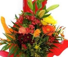 La Rose Rouge image 12