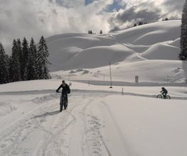 Fredy's Bikewält Bild 6