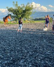 4happypets.ch, Inhaberin Schön Bild 13