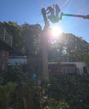 Der Gartenhelfer Bild 7