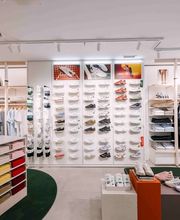 Lacoste Varadero imagen 7