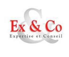 Ex & Co - Expertise et Conseil image 3