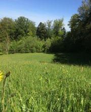 Ferme-Restaurant Pierreberg Bild 6