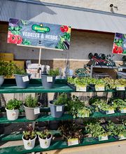 Garden Center Wide Shot