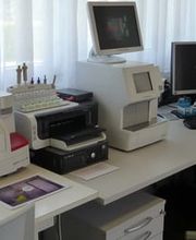 Tierarztpraxis im Hölzli Bild 5