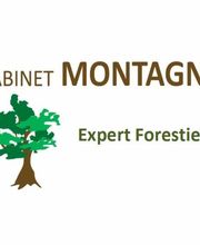 Cabinet MONTAGNE Expert Forestier image 1