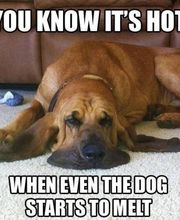 Ogeechee Heating & Air image 7