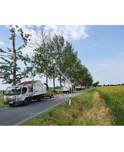 Dresdner Baumdienst Inh. A. Grau e.Kfr. Bild 3