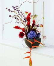 La Flor Studios Bild 6