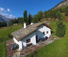 Meuli Sils Bild 10