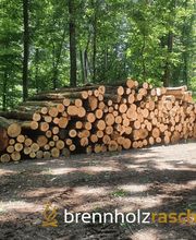 brennholzrasch.de Bild 4