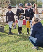 Ecuries Lalye GUILLAUMEE CHANTAL image 17