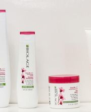 Gallery Professionale