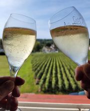 Champagne Littière Alain image 1