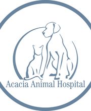 Acacia Animal Hospital image 2
