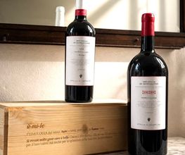 Groinen Wine GmbH Bild 9
