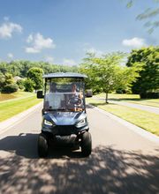 Cart Nation image 6