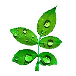 Roberto Roffi - Psicanalista C.G. Jung-Institut Zurigo e Consulente spirituale