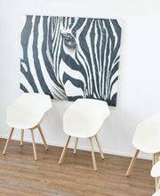 Kleintierpraxis Drei Höfe Bild 6