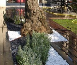 Jardin Vert Eden image 2