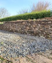 Camus Damien image 2