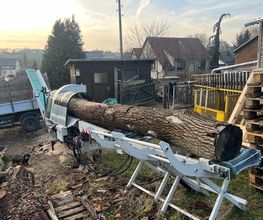 Sachsenburger Holzhammer Bild 11