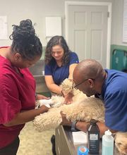 Marsh Hospital For Animals image 1