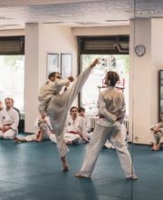 Taekwon-Do Terranova Kampfsport Zürich Bild 1