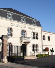 Champagne Ellner image 7