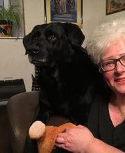 Tierheilpraxis Iris Jung Bild 1