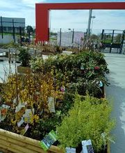 Bricomarché La Charité-Sur-Loire image 14