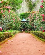 Haus & Gartenservice Bild 2