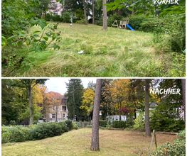 NG SERVICES BERLIN Bild 12