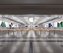 Apple Fiordaliso immagine 1