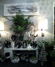 Chlorophylle image 6