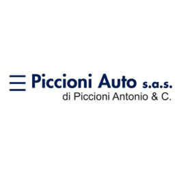 Piccioni Auto logo