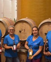 LES 3 DOMAINES image 7