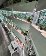 Aquasalvaje imagen 19