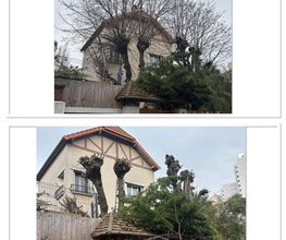 Marq Jardin image 14