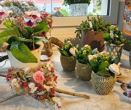 Blumen und Pflanzen Bild 11