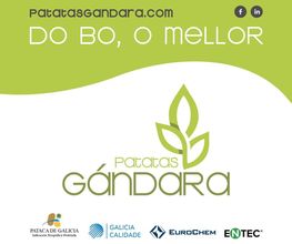 17627241-4-3qE0ZxUsOf1720781791689.jpeg