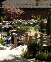 Hirschi Marcel Bild 3