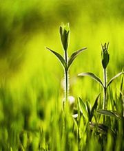 Heilpraktiker Osteopathie Ostermann Bild 3