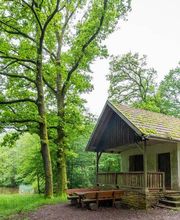 FriedWald Imsbach Bild 9