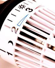 Estoppey Patrick Bild 2