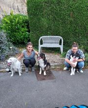 V'Educ-ton-chien image 4