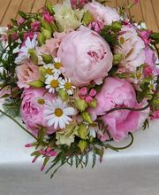 Blumen Schweizer Bild 6