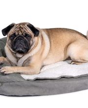 Karlie Liegebett Ortho für einen gesunden Hundeschlaf. Der Memory-Foam passt sich der Beschaffenheit des Körpers an und sorgt für eine optimale Druckentlastung von Wirbelsäule und Gelenke. 