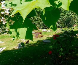 Garten Zeißlhof Bild 5