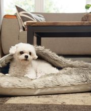 Schlafsack Rizla designed by Lotte
Das Hundebett Rizla kann auch  als Schlafsack von Ihrem Hund verwendet werden. Er liegt darin komfortabel und ist warm in eine Decke eingehüllt. Größe 67x42x6cm